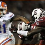 No. 10 Gamecocks fight back to top Gators 19-14