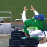 Florida mascot Albert saves small child by taking a baseball to his noggin